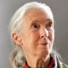 Jane Goodall (born 1934)